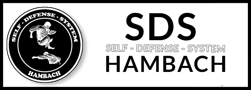 SELF DEFENSE SYSTEM HAMBACH: Kampfsportschule Hambach